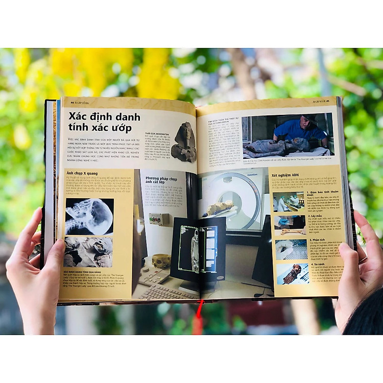 Ai Cập Cổ Đại - Ảnh 2