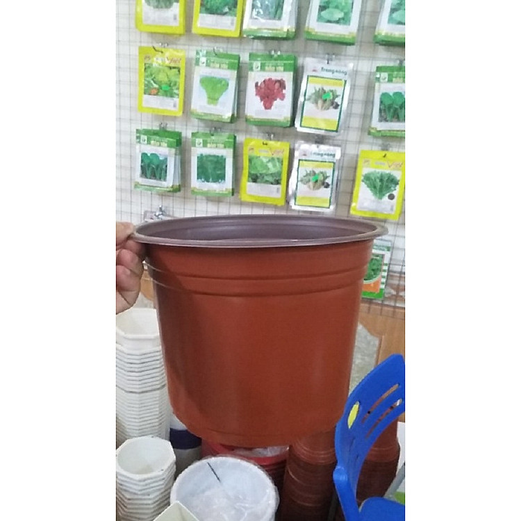 Combo 50 chậu nhựa mỏng trồng cây 20x15cm màu nâu