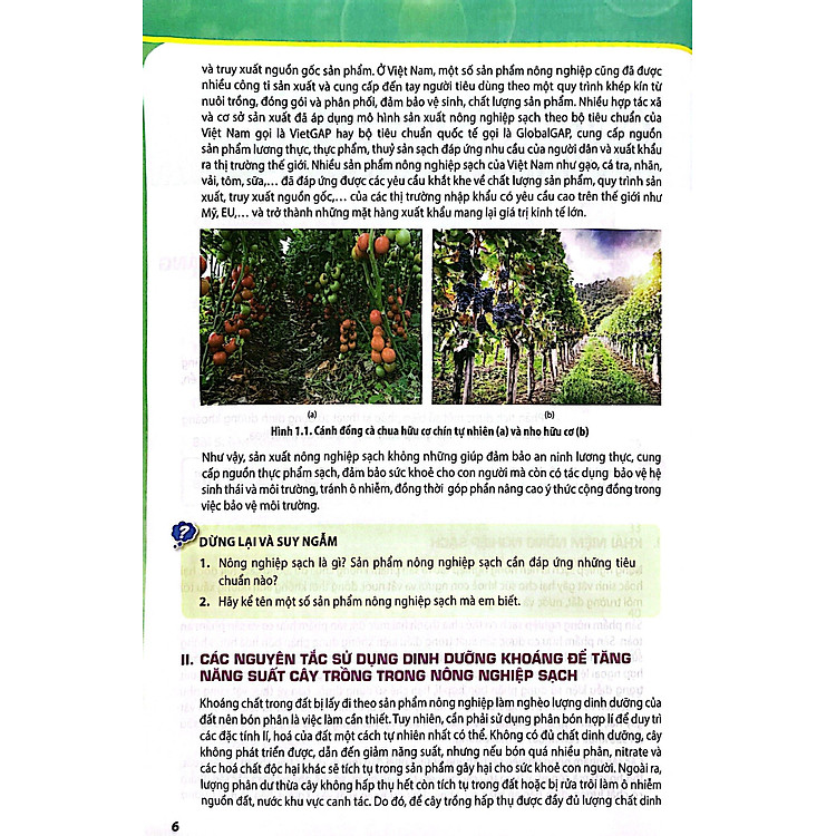 Giáo Khoa Chuyên Đề Học Tập Sinh Học 11 (Kết Nối) - Ảnh 3