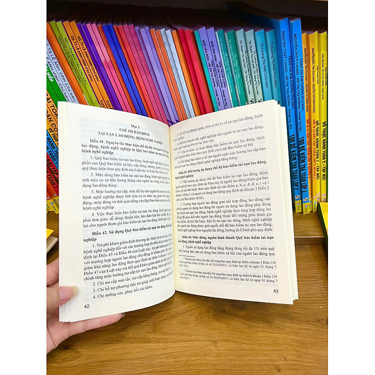 Luật An Toàn, Vệ Sinh Lao Động (Sửa đổi, bổ sung năm 2024) - Ảnh 3