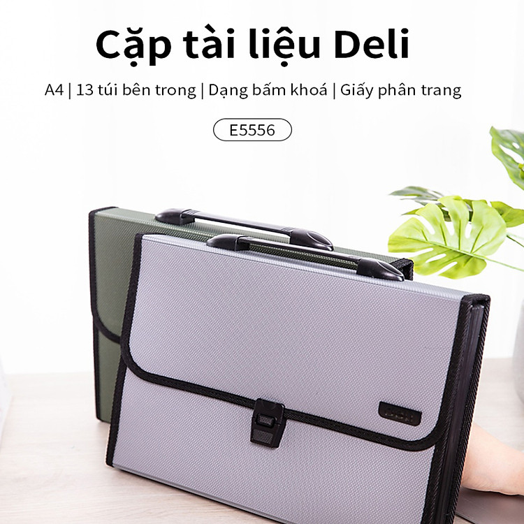 Cặp Tài Liệu 5556 Deli - Ảnh 4