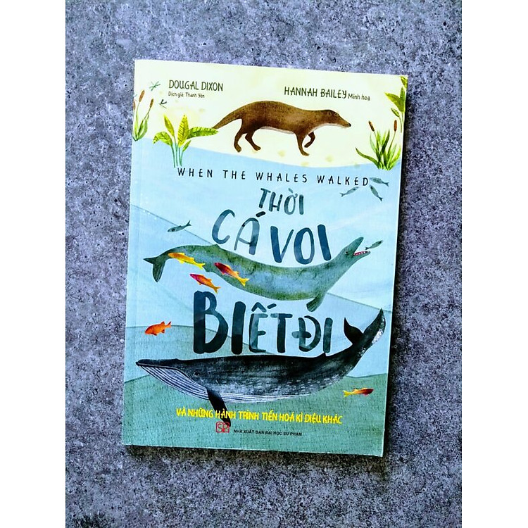 THỜI CÁ VOI BIẾT ĐI