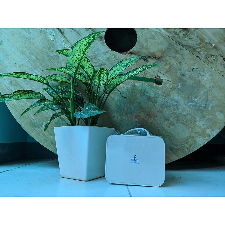 máy bơm ngưng máy lạnh 10M