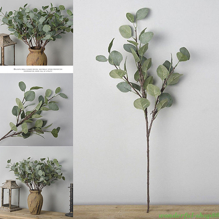 Cành Lá Khuynh Diệp