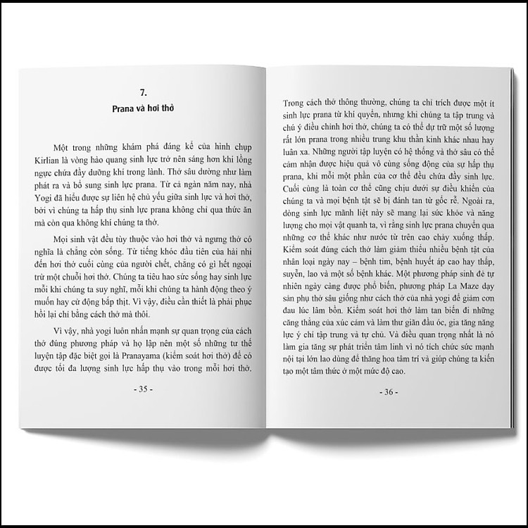 Hơi Thở Trong Yoga – Khi Hơi Thở Tĩnh Lặng, Tâm Trí Trở Nên Tĩnh Lặng - Ảnh 6