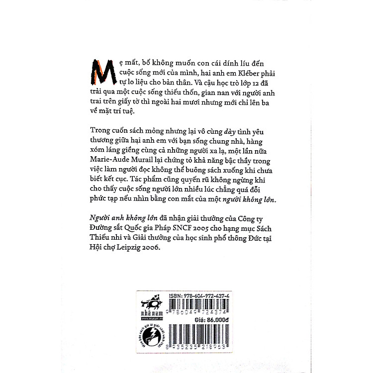 Người Anh Không Lớn - Ảnh 3