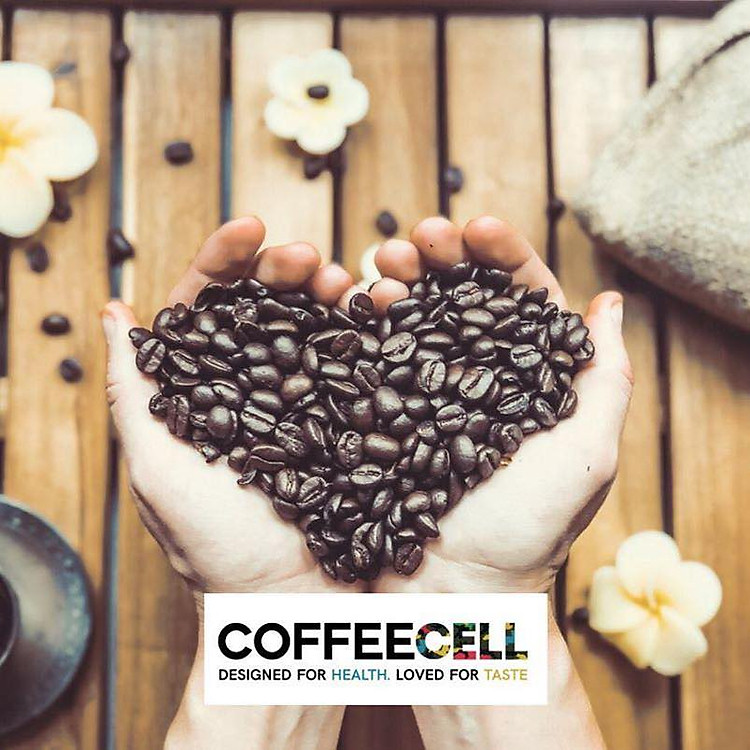 Bộ Tờ Rơi Leaflets Catalogue Cà Phê Nhân Sâm (5 bộ) - Ảnh 4