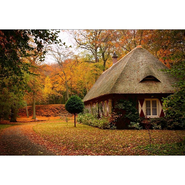 Bộ Tranh Xếp Hình 330-023 - Thu Vàng Chính hãng Giá rẻ - Hình ảnh 3