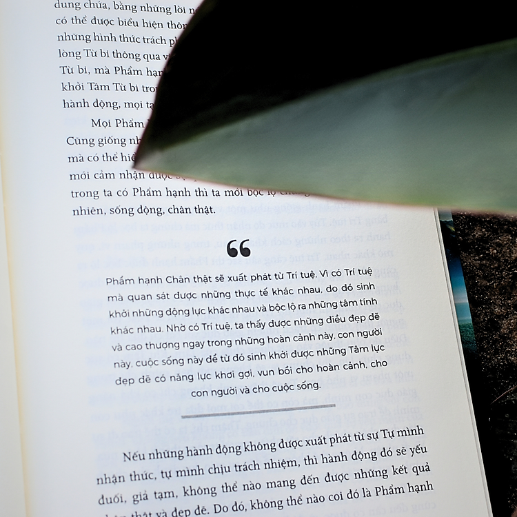 TẦM NHÌN GIÁO DỤC + LỘ TRÌNH KHAI PHÓNG - Ảnh 6