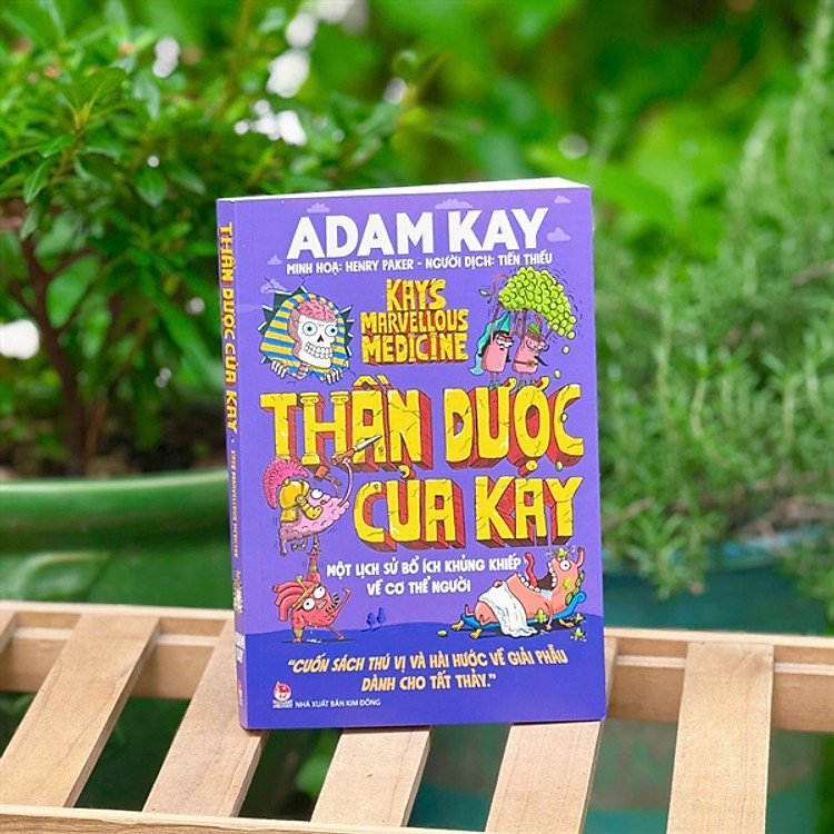 Giải Phẫu Cơ Thể Người - Ảnh 2