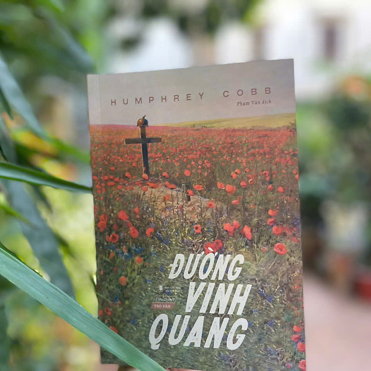 Đường Vinh Quang - Ảnh 4