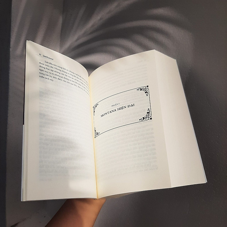 SỤP ĐỔ - CÁC XÃ HỘI ĐÃ THẤT BẠI HAY THÀNH CÔNG NHƯ THẾ NÀO? (Tái bản 2024) - Ảnh 3