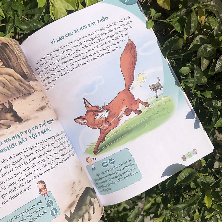 10 Vạn Câu Hỏi Vì Sao - Động Vật Trên Cạn Và Dưới Nước - Ảnh 5