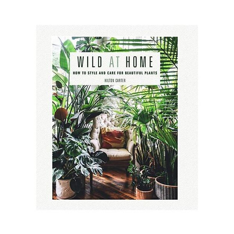 Wild At Home: How To Style And Care For Beautiful Plants