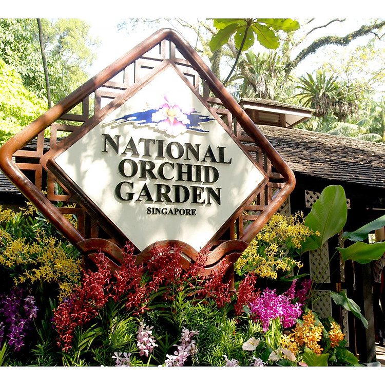 Vé National Orchid Garden