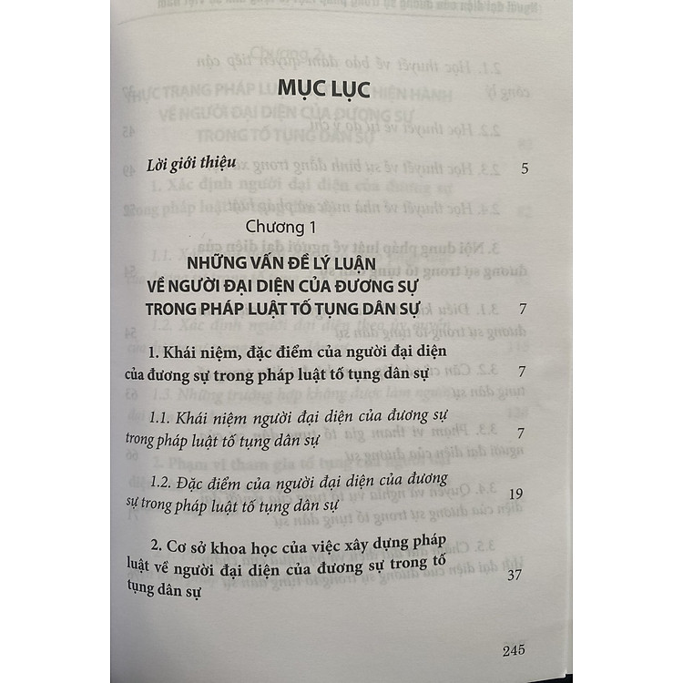 Người Đại Diện Của Dương Sự Trong Pháp Luật Tố Tụng Dân Sự Việt Nam - Ảnh 5