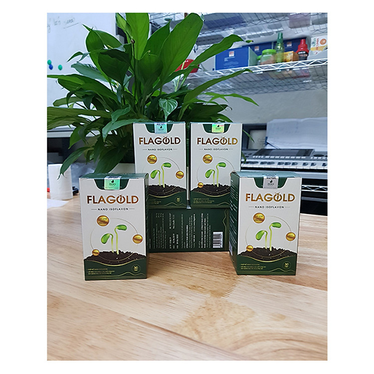 Combo 04 Hộp Viên Uống Nano Mầm Đậu Nành FLAGOLD