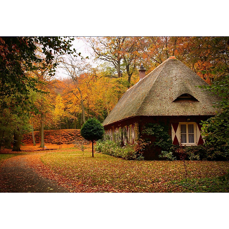 Bộ tranh xếp hình 330 mảnh - Thu Vàng Chính hãng Ưu đãi - Hình ảnh 2