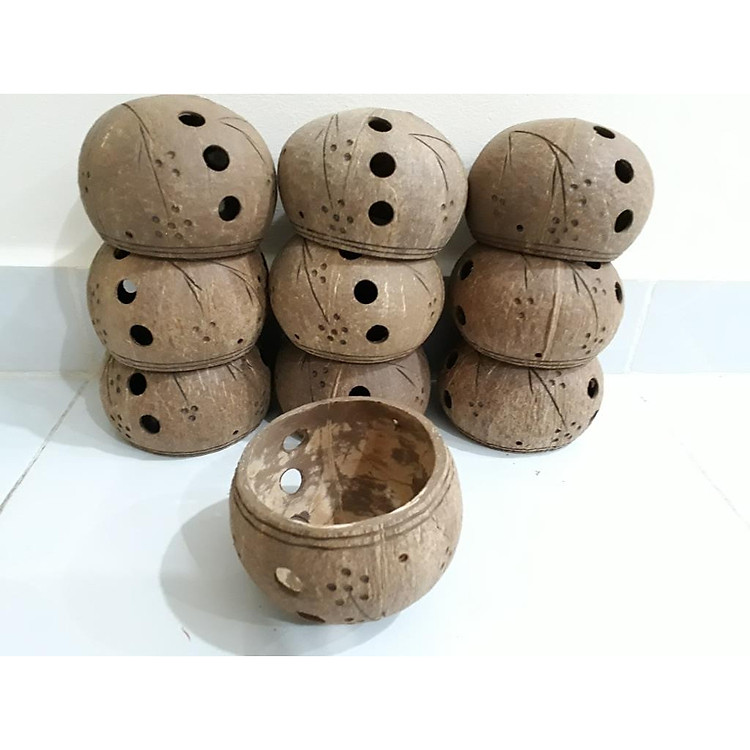 Combo 5 Gáo Dừa Lâu Năm Trồng Lan 11-13cm