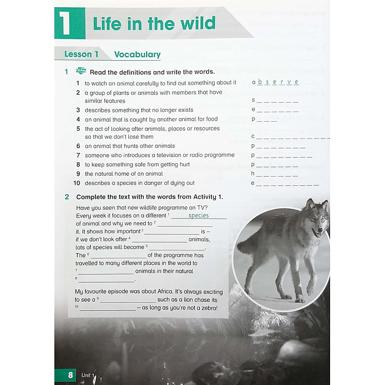 Academy Stars 6 WB - Ảnh 3