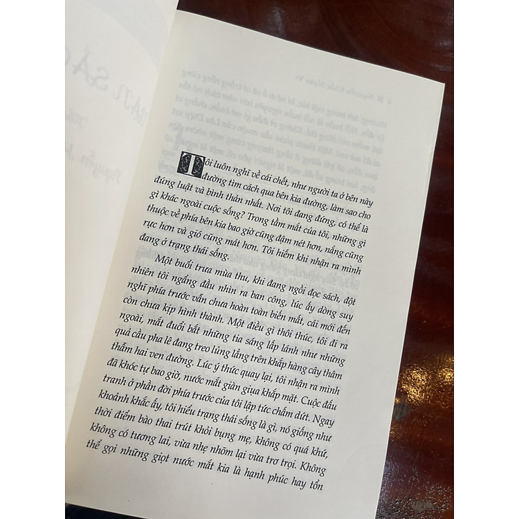 VẠN SẮC HƯ VÔ – Nguyễn Khắc Ngân Vi - Ảnh 3