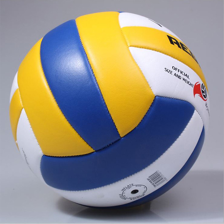 Bóng chuyền số 5 da PU cao cấp Regail R401