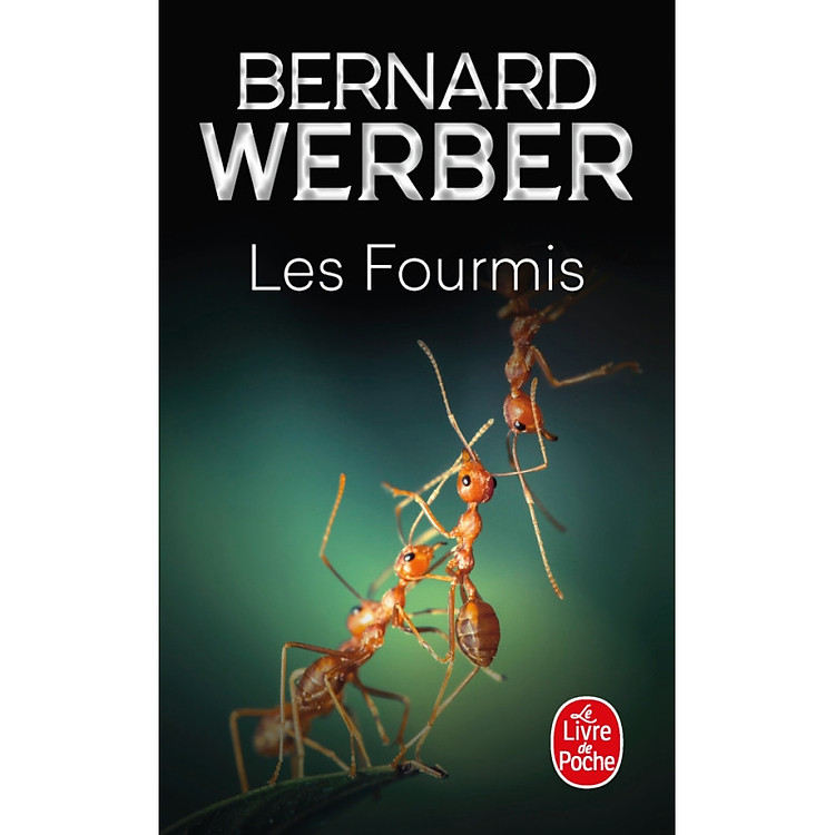 LES FOURMIS – TOME 1