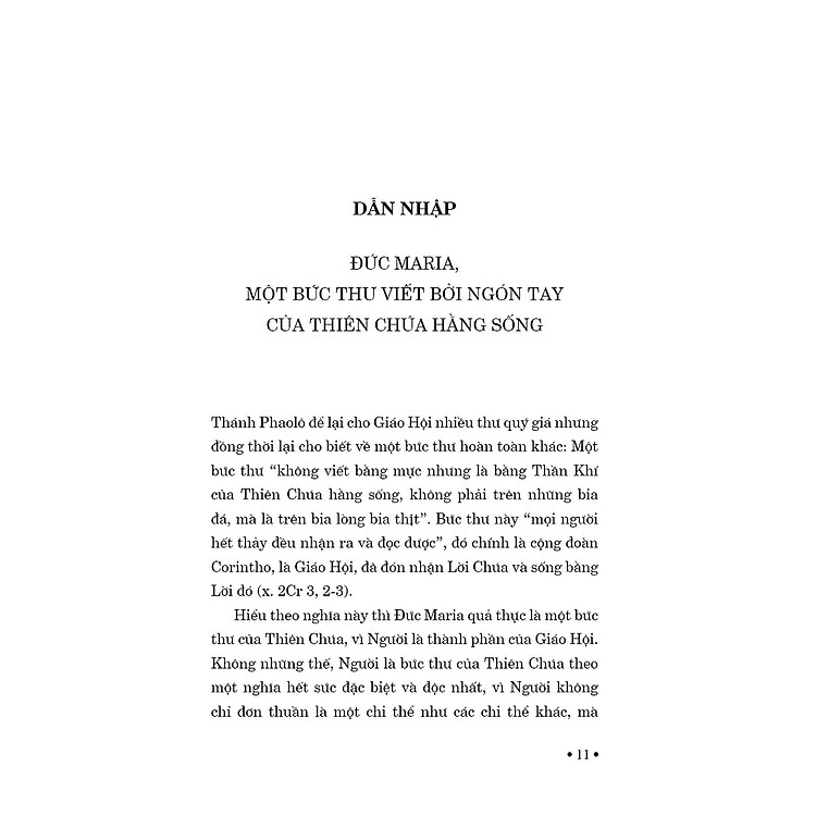 Đức Maria - Tấm Gương Cho Giáo Hội - Ảnh 3