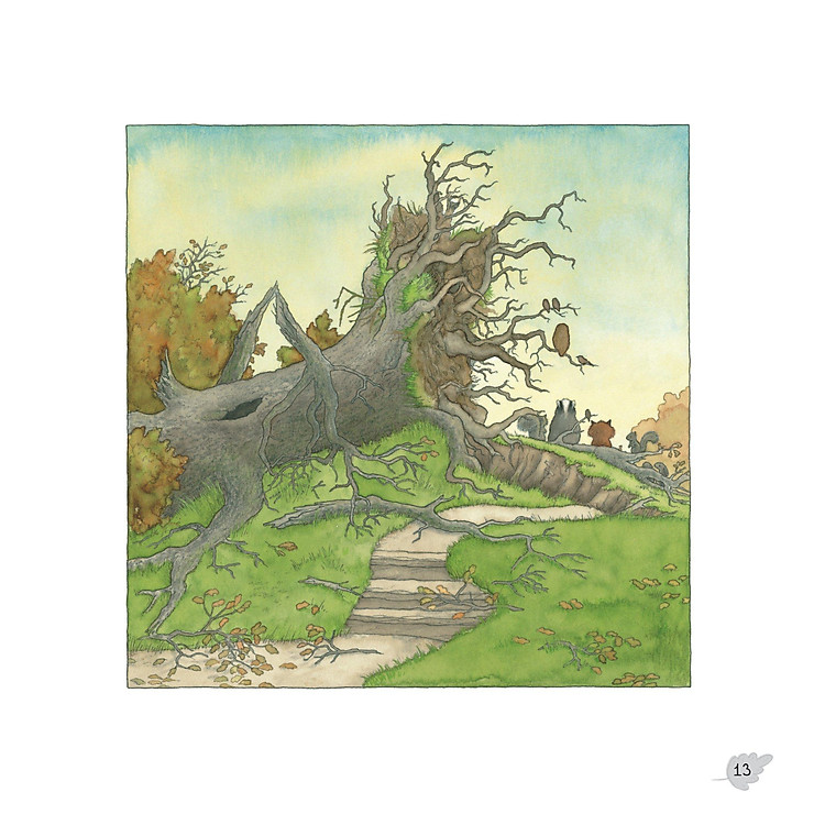 Gieo Mầm Yêu Thương - Sau Cơn Bão (Dành Cho Trẻ Từ 3-9 Tuổi) - Ảnh 7