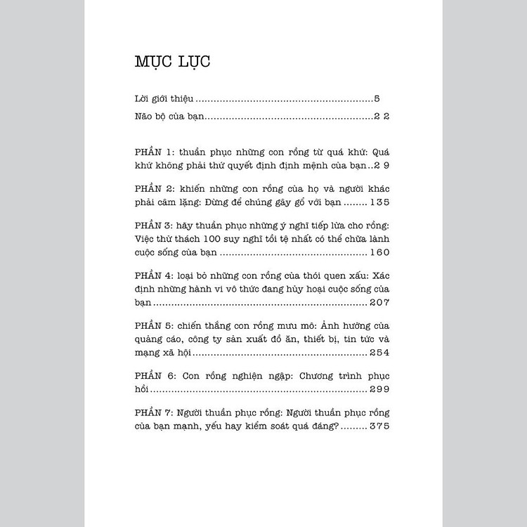 Đánh Thức Não Bộ - Kích Hoạt Năng Lực Tiềm Ẩn Của Não Bộ Để Loại Bỏ Suy Nghĩ Và Hành Vi Tiêu Cực - Ảnh 2