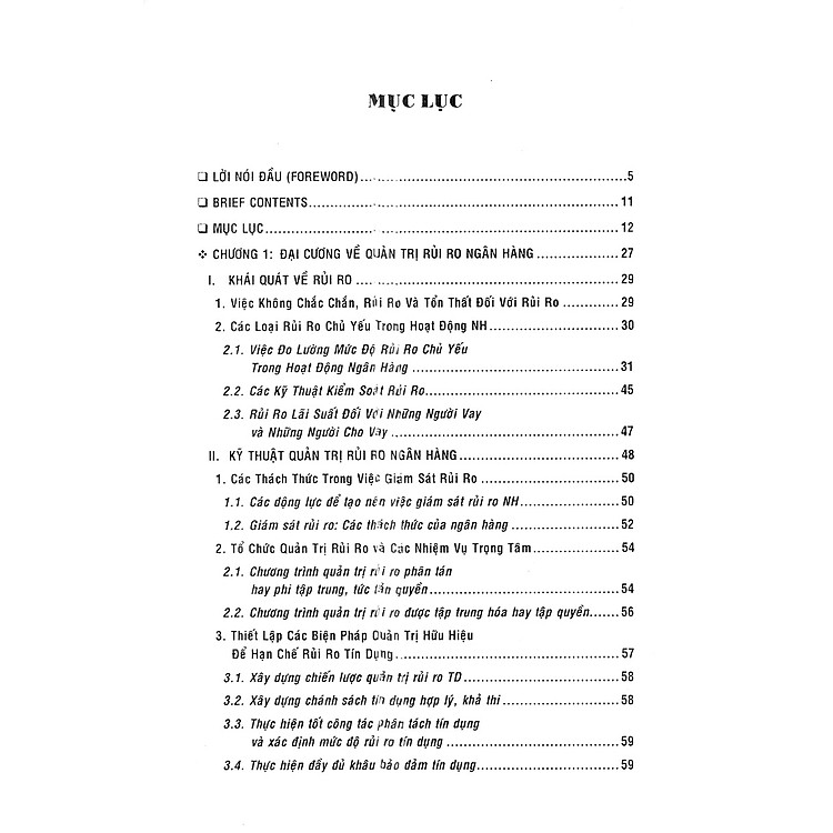 Quản Trị Rủi Ro Ngân Hàng Trong Nền Kinh Tế Toàn Cầu - Ảnh 2