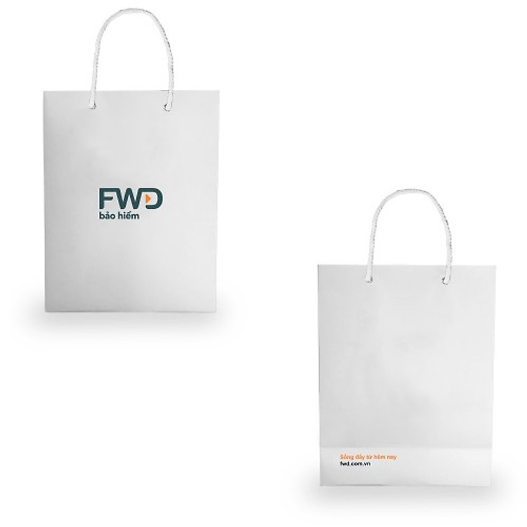 Túi Giấy Trắng - Ảnh 2