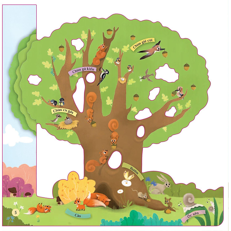 Tò Mò Muốn Biết… Trên Cây Cao - Ảnh 6