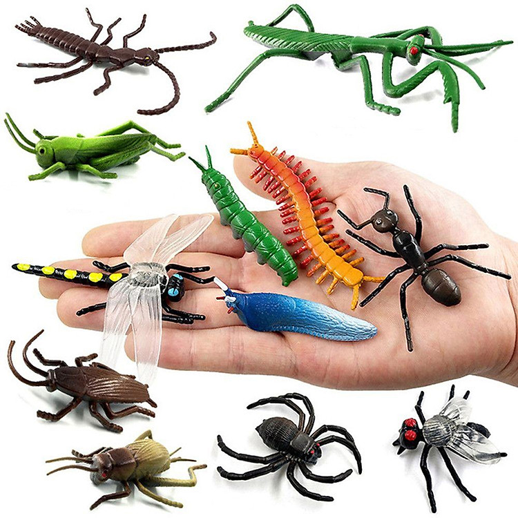Bộ 12 mô hình côn trùng cao su cho bé Chính hãng Giá tốt