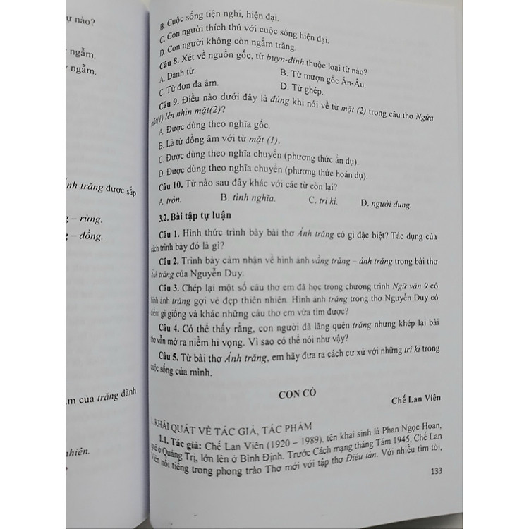 Ôn Tập Thi Vào Lớp 10 Môn Ngữ Văn - Ảnh 3