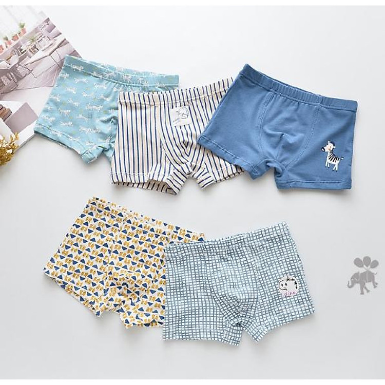 Set 5 quần lót đùi cho bé trai (hàng 100% coton ) hình con báo