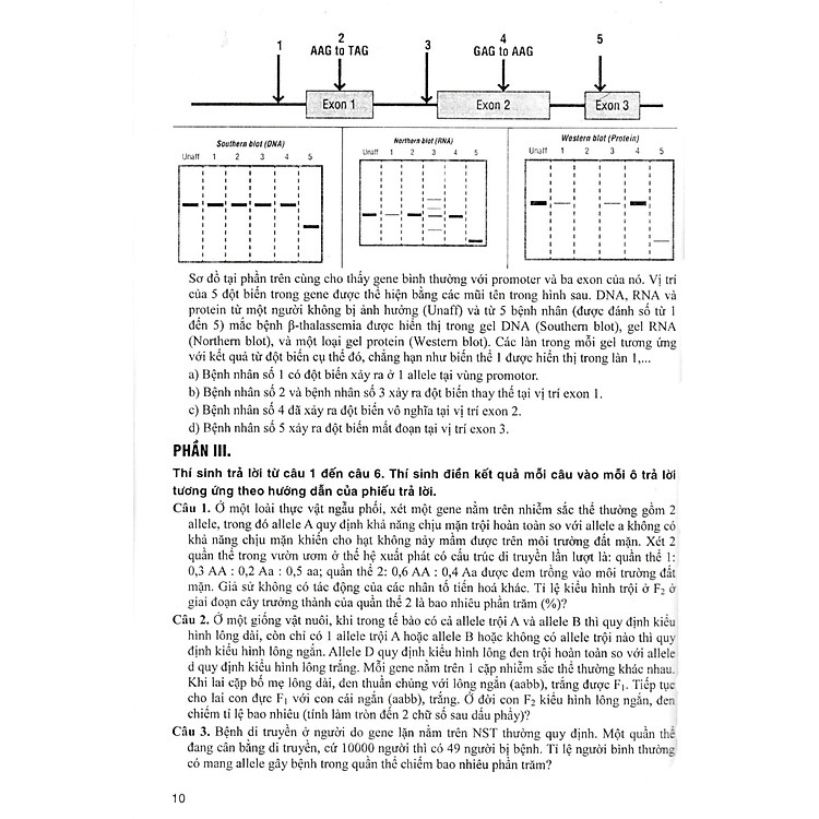 Bộ Đề Sinh Học - Đầy Đủ Các Dạng Trắc Nghiệm Theo Cấu Trúc Đề Thi Năm 2025 - Ảnh 3