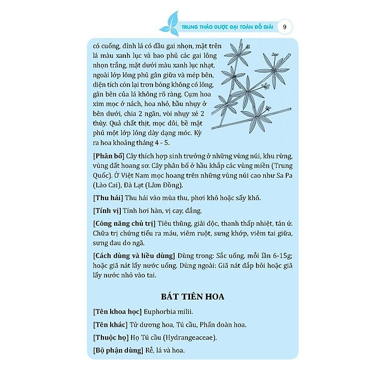 Trung Thảo Dược Đại Toàn - Đồ Giải - Ảnh 3