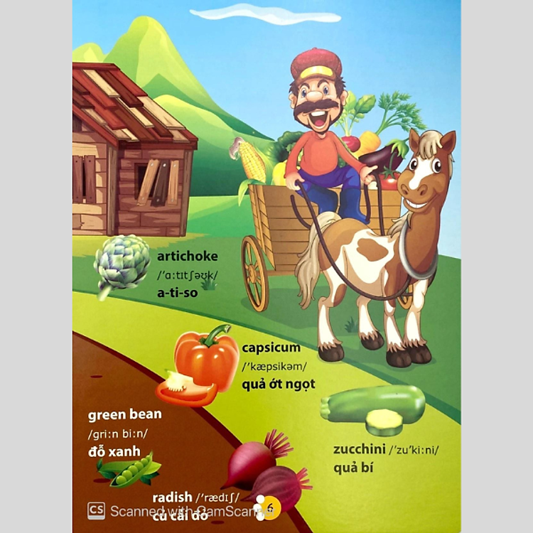 Từ Điển Phát Triển Ngôn Ngữ Bằng Hình Dành Cho Trẻ Mầm Non - Ảnh 7