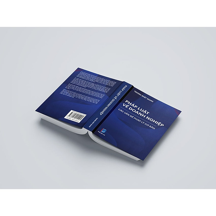 Pháp luật về doanh nghiệp – Các vấn đề pháp lý cơ bản (tái bản lần 1 năm 2024) - Ảnh 4