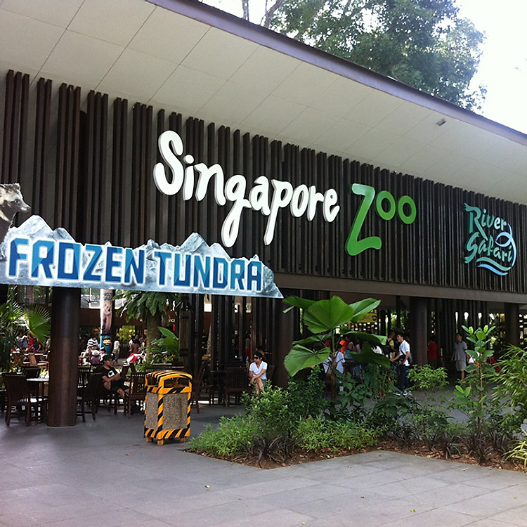 Vé Tham Quan Sở Thú Singapore - Singapore Zoo