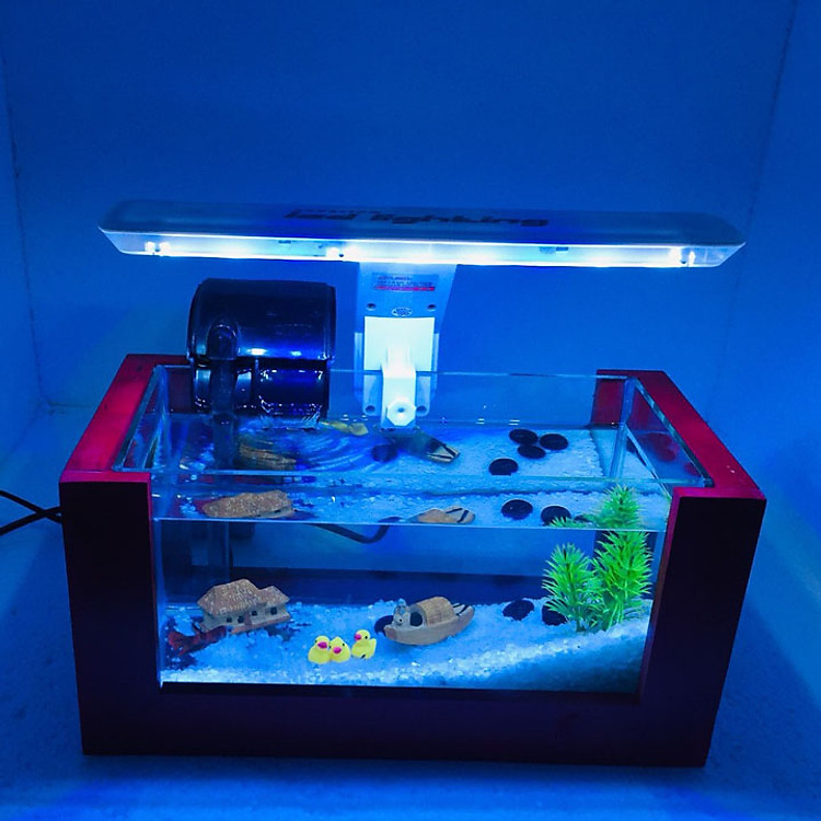 Bể cá mini để bàn combo bộ đầy đủ
