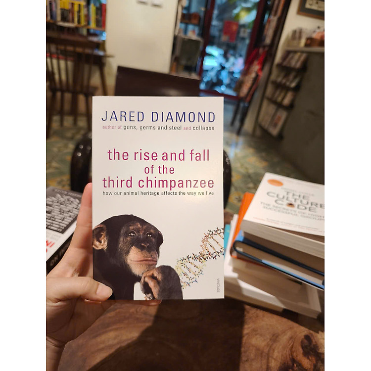 The Rise and Fall of the Third Chimpanzee - Ảnh 3