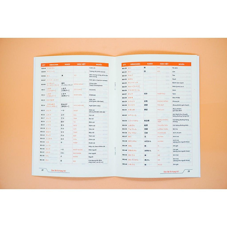 Tóm Tắt Từ Vựng N5 + N4 (50 Bài Minna No Nihongo) - Ảnh 3