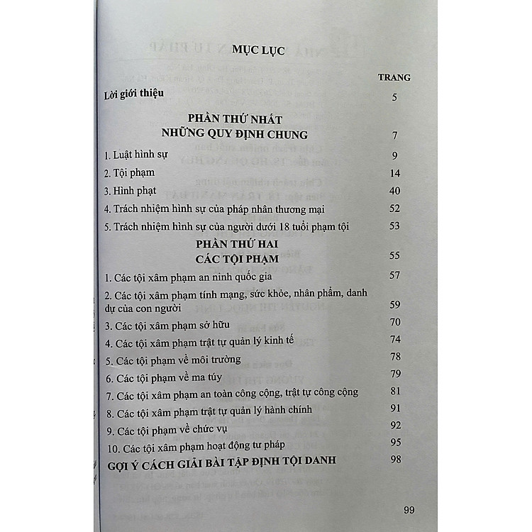 Mô Hình Luật Hình Sự Việt Nam - Ảnh 2