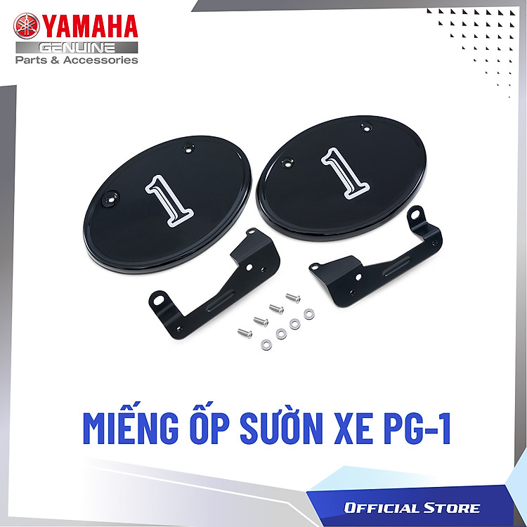 MIẾNG ỐP SƯỜN XE - PG-1