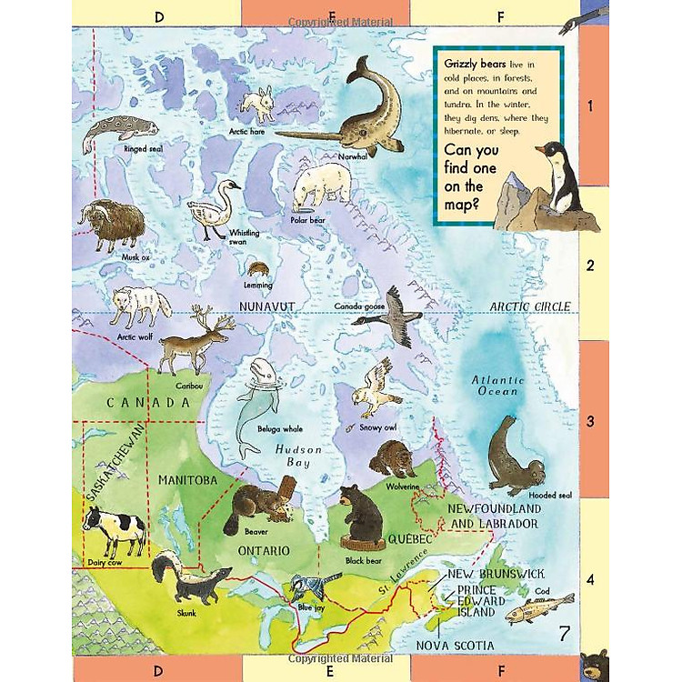 First Animal Picture Atlas - Ảnh 6