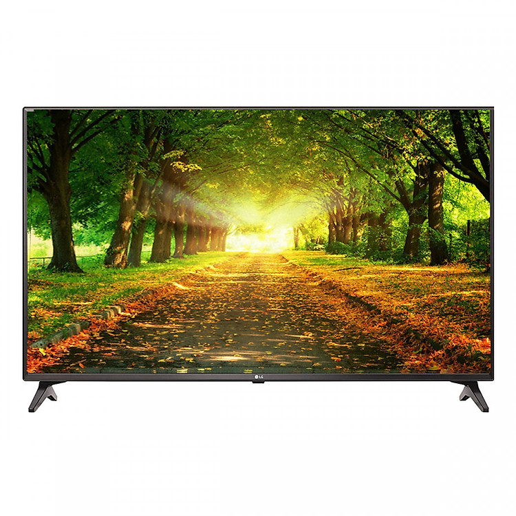 Smart Tivi LG Full HD 49 inch 49LJ614T
