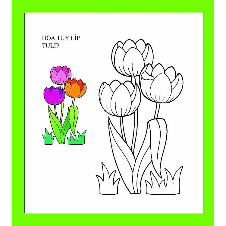 Họa Sĩ Nhí Tô Màu: Hoa - Ảnh 5