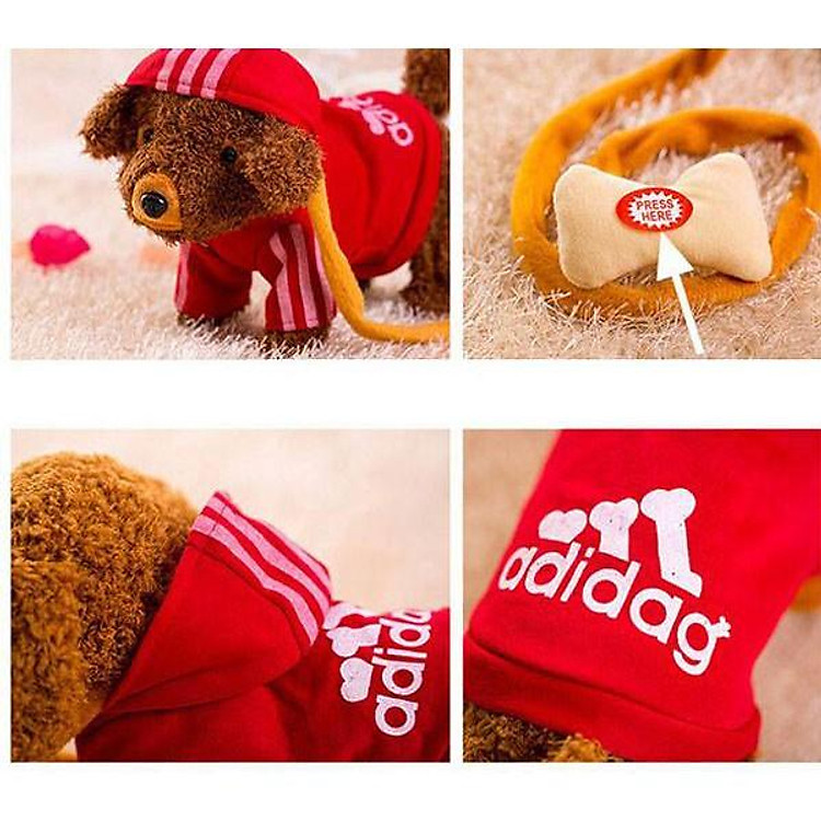 CHÓ NHỒI BÔNG BIẾT ĐI BIẾT HÁT TIẾNG VIỆT